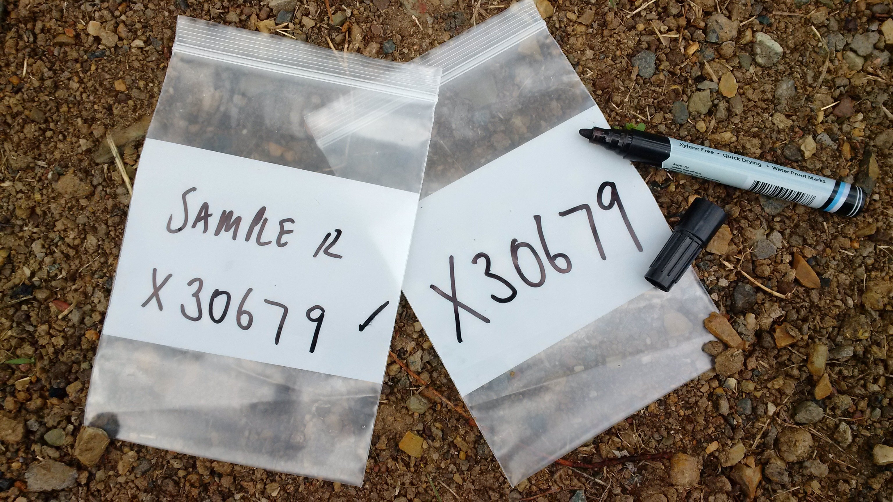 Samplex® Ziplock Resealable Bags